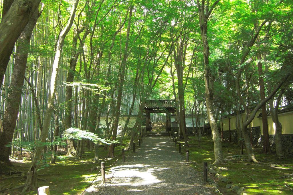 Saizen Matsumuro Stay Kyoto Eksteriør bilde