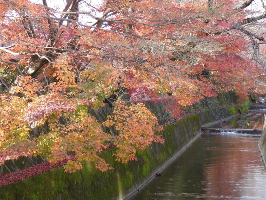Saizen Matsumuro Stay Kyoto Eksteriør bilde