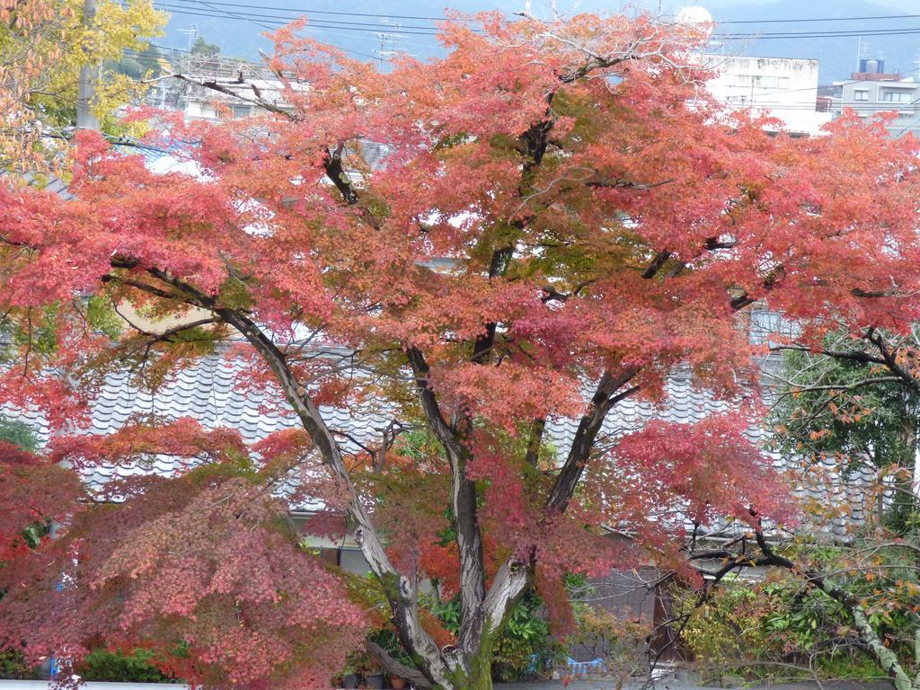 Saizen Matsumuro Stay Kyoto Eksteriør bilde