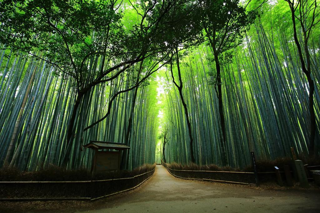 Saizen Matsumuro Stay Kyoto Eksteriør bilde